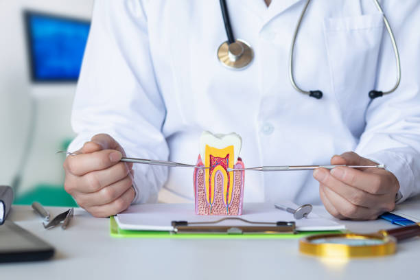 Best Emergency Pediatric Dental Care in Nesconset, NY